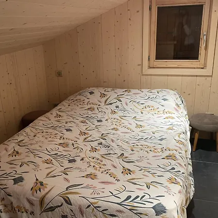 Lovely Family Nest In